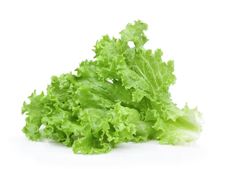 Selada
